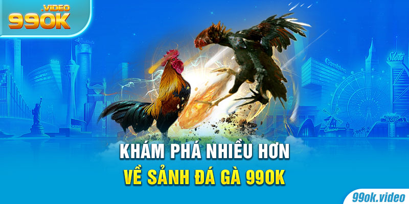 Khám phá nhiều hơn về sảnh đá gà 99OK