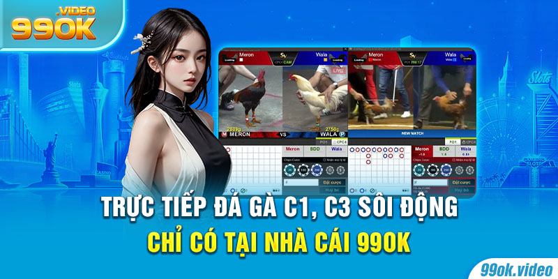 Trực tiếp đá gà C1, C3 sôi động chỉ có tại nhà cái 99OK