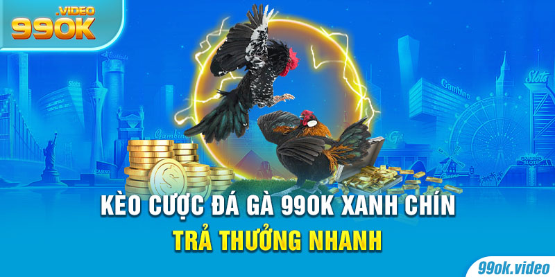 Kèo cược đá gà 99OK xanh chín, trả thưởng nhanh