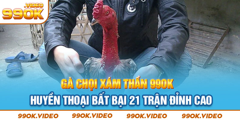 Gà chọi Xám Thần 99OK