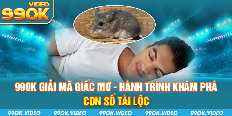 99OK giải mã giấc mơ